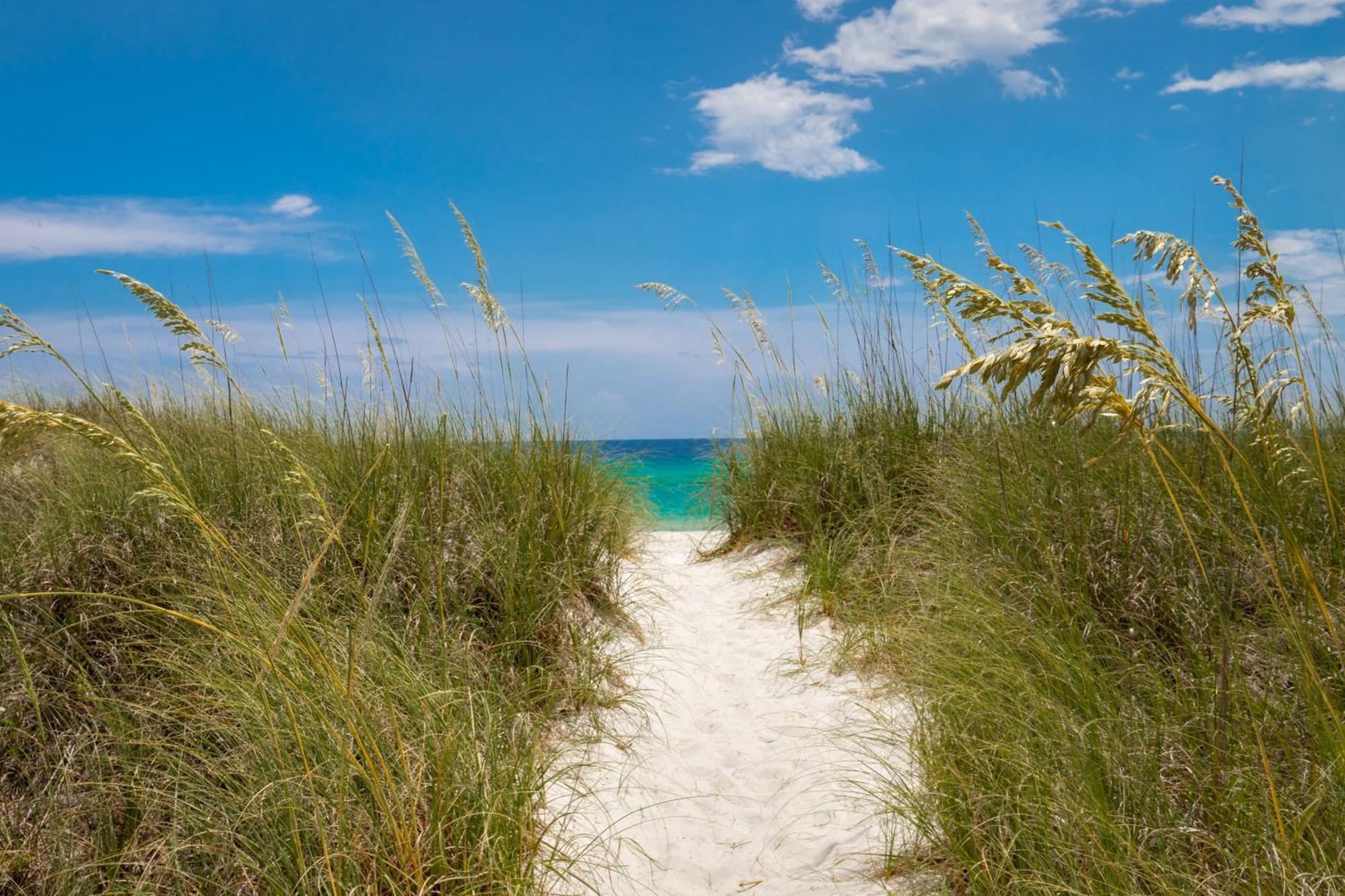 Remarkably Updated 3/2 In Seagrove Highlands - Gulf Views Sleeps 9! Санта-Роза-Бич Экстерьер фото